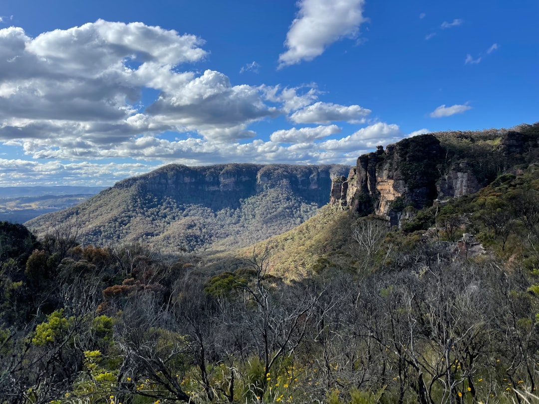 Montañas Azules: naturaleza salvaje entre eucaliptos - Nuovo Galles del Sud | Secret World Trip Planner