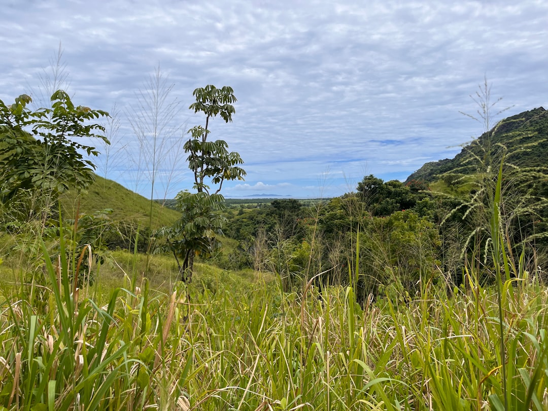 Garten des schlafenden Riesen: Orchideen auf Fidschi - Wailoko Road | Secret World Trip Planner
