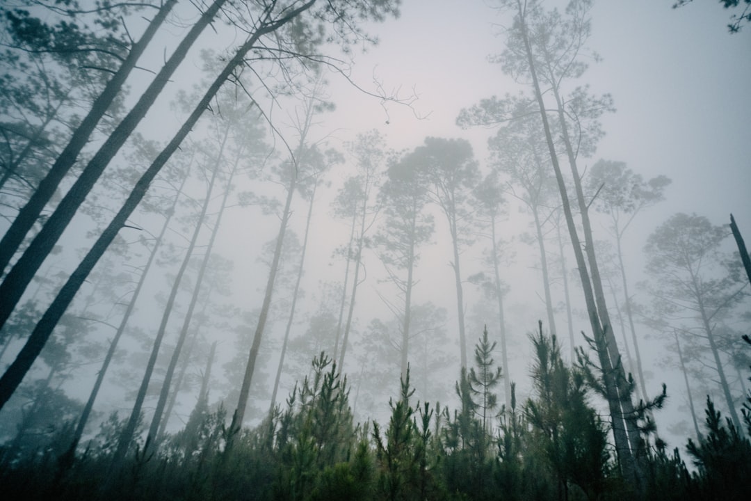 Pico Duarte: trekking en el techo del Caribe - Pico Duarte | Secret World Trip Planner