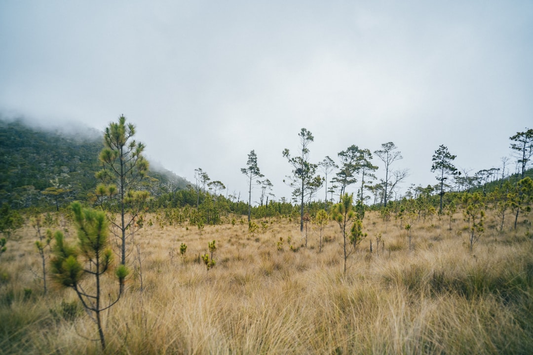 Pico Duarte: trekking en el techo del Caribe - Pico Duarte | Secret World Trip Planner