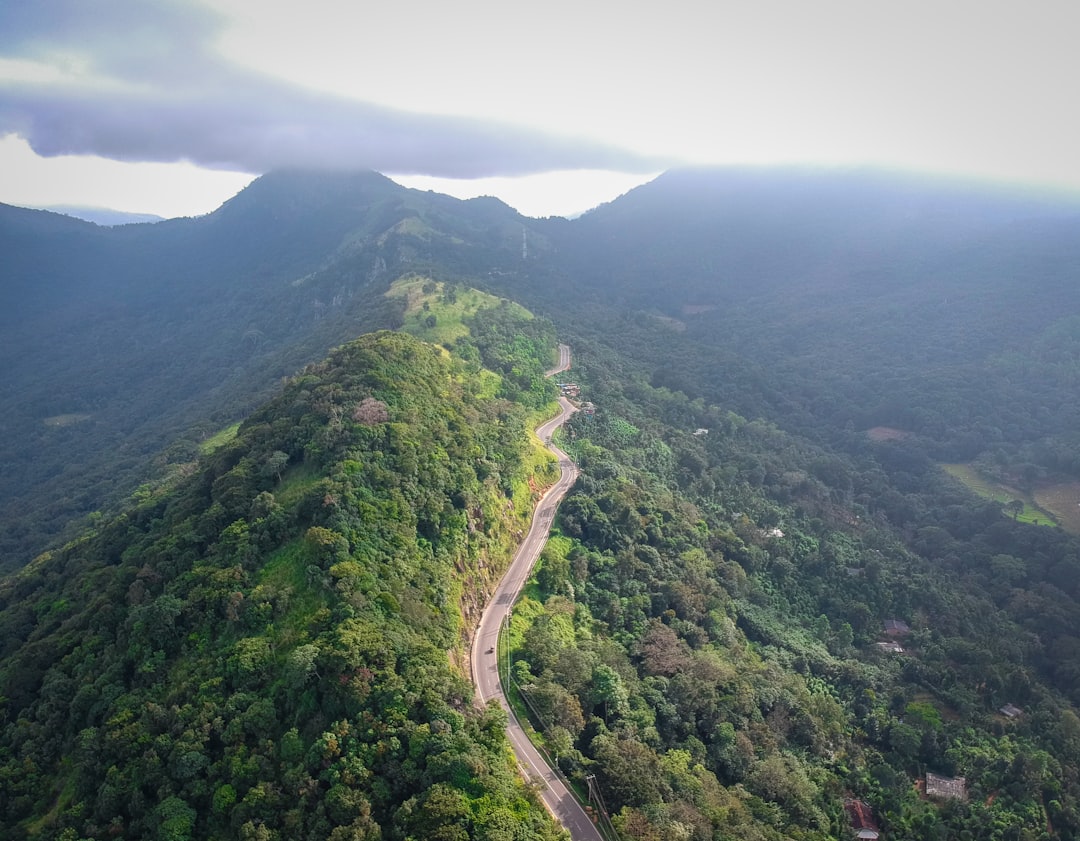 Thotupola Kanda: Ein Naturparadies im Herzen Sri Lankas - Pattipola | Secret World Trip Planner