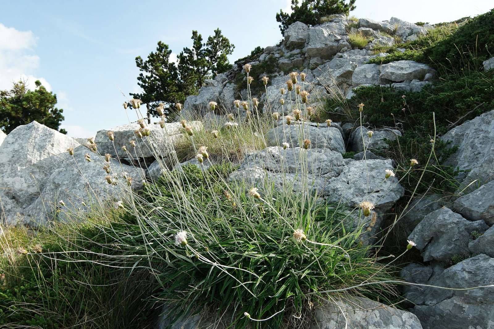 Discover Velika Jastrebica: The Natural Treasure of Montenegro - HGXV+6C Ubla | Secret World Trip Planner