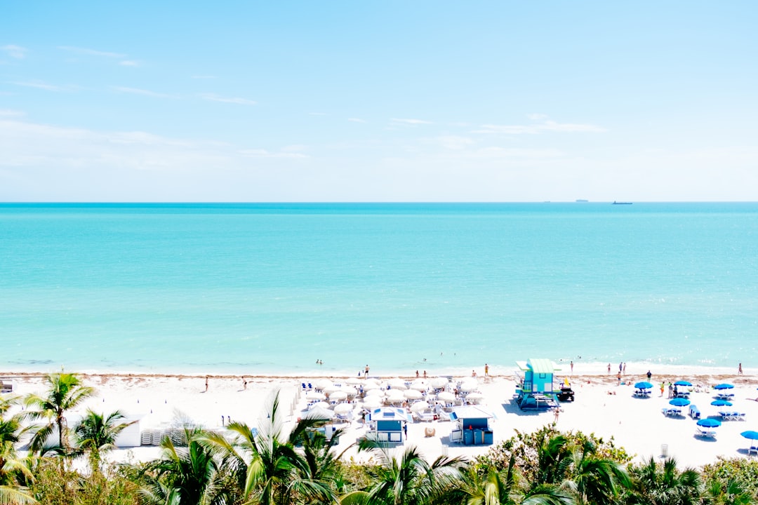Альтернативы Wanderlog 2026: лучшие приложения для Майами - Miami | Secret World Trip Planner