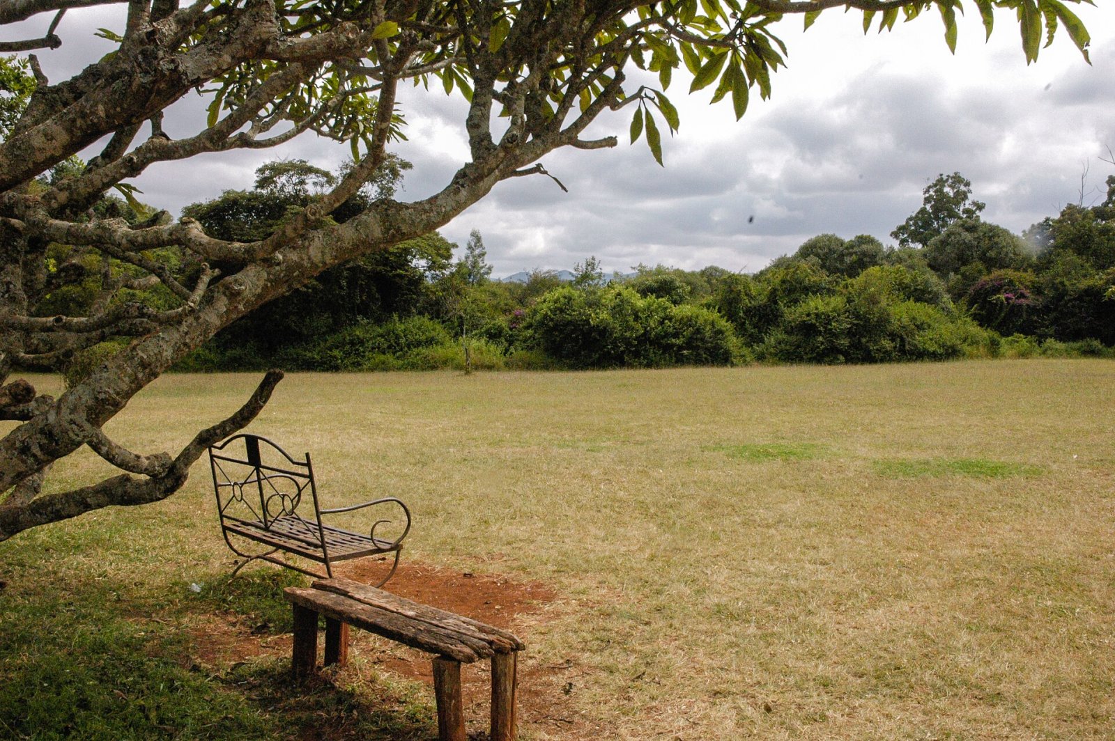 发现Bench,肯尼亚心脏地带的宁静避风港 - Nairobi | Secret World Trip Planner