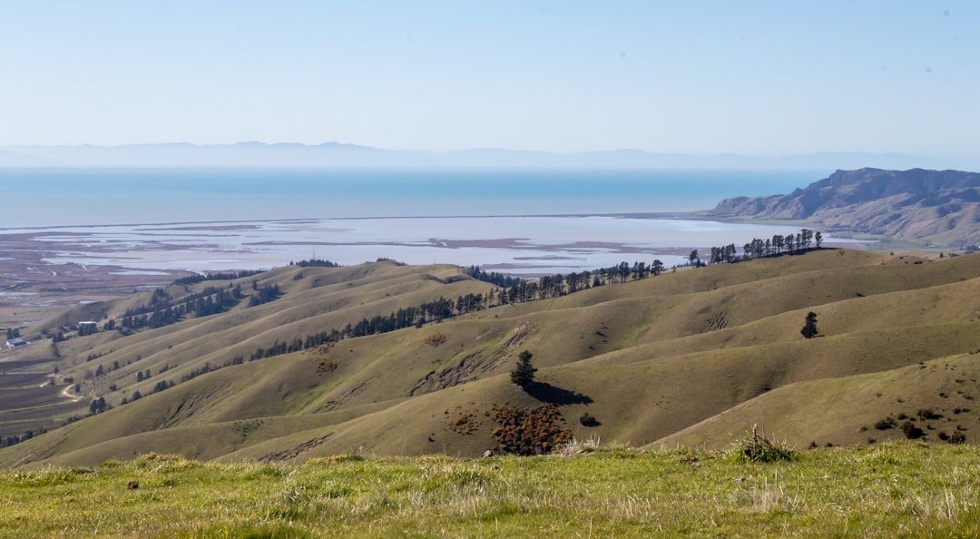 Marlborough Wine Tours: ciclismo tra i vigneti di Blenheim - Springlands | Secret World Trip Planner