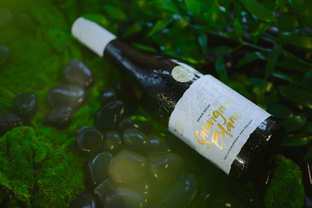Marlborough Wine Tours: ciclismo tra i vigneti di Blenheim - Springlands | Secret World Trip Planner