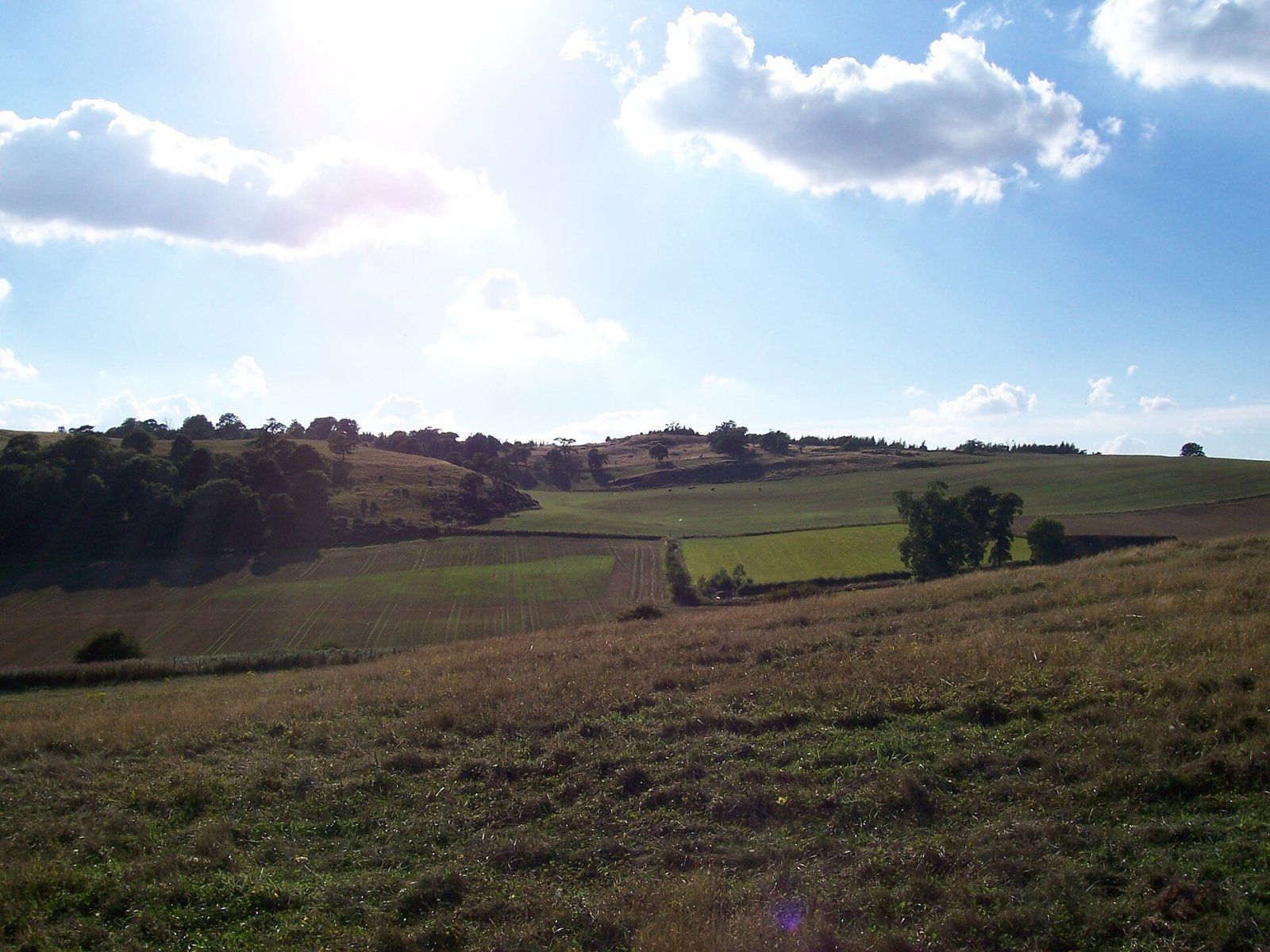 Открытие Cairnie Hill: природное сокровище Шотландии - 8RGM+G6 Cupar | Secret World Trip Planner