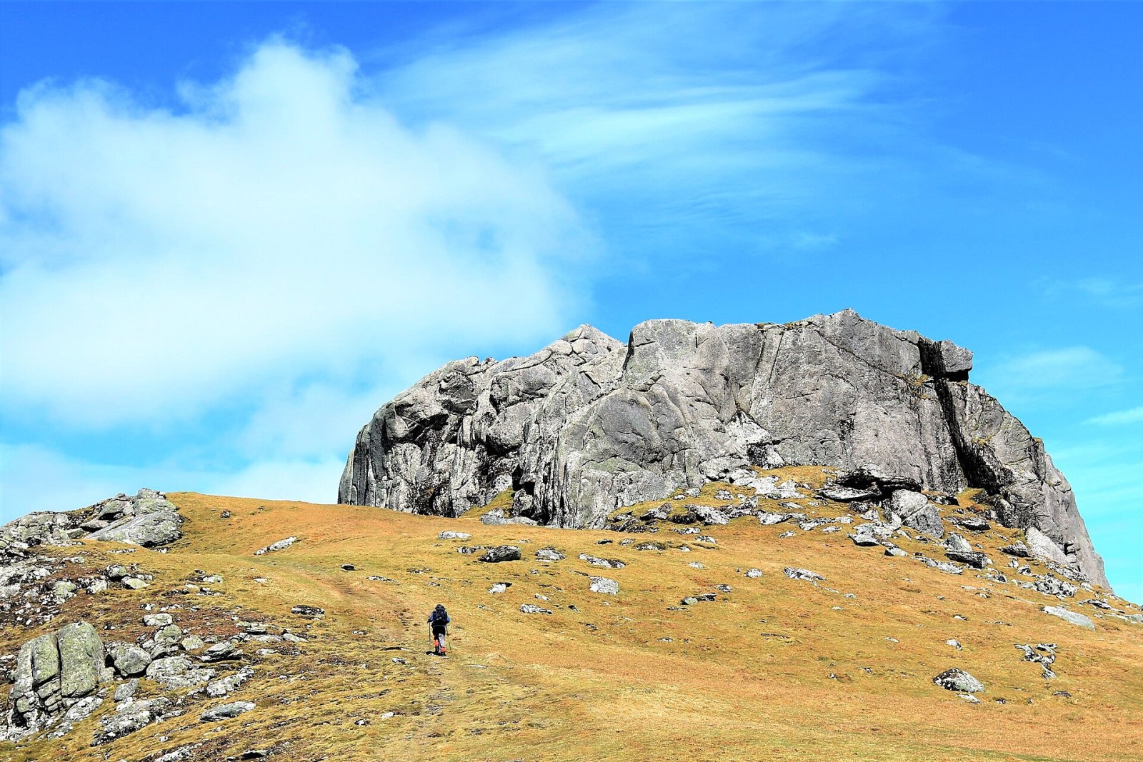 Scoprire Ben Loyal: la montagna isolata della Scozia - Kinloch Lodge | Secret World Trip Planner