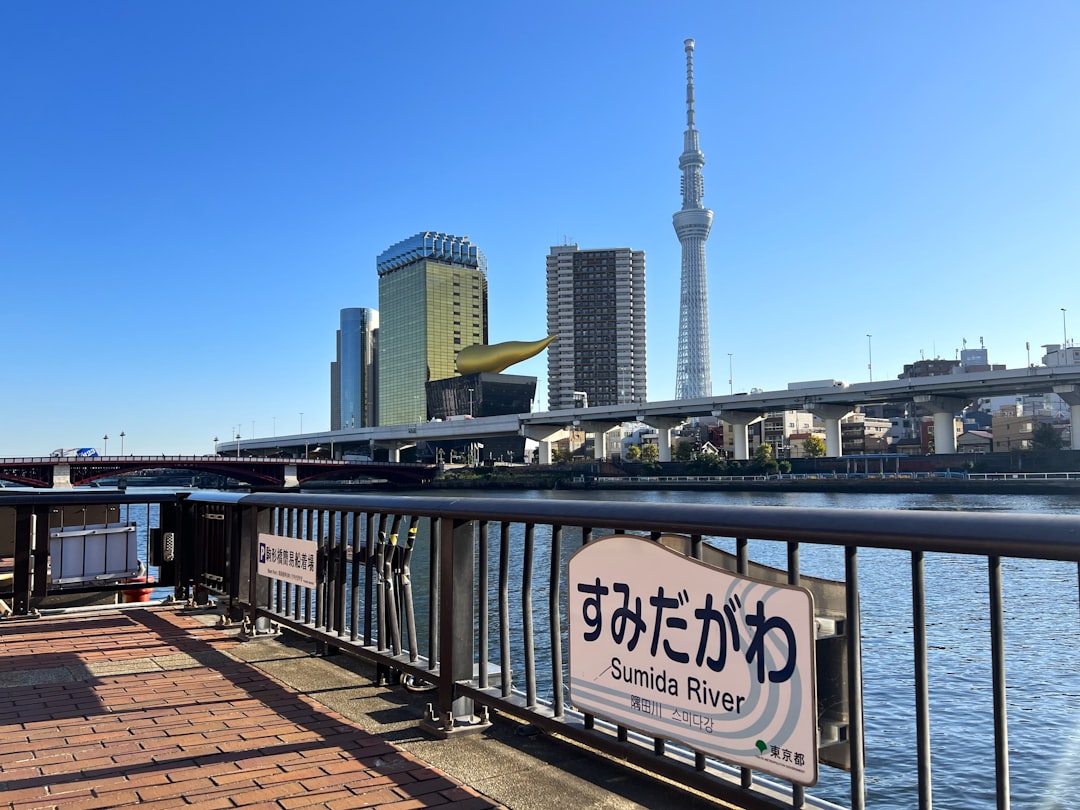 Museo Nacional de Tokio: guía de colecciones - Taito City | Secret World Trip Planner