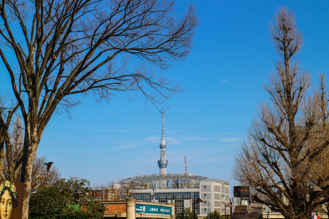東京国立博物館：コレクションガイド - Taito City | Secret World Trip Planner