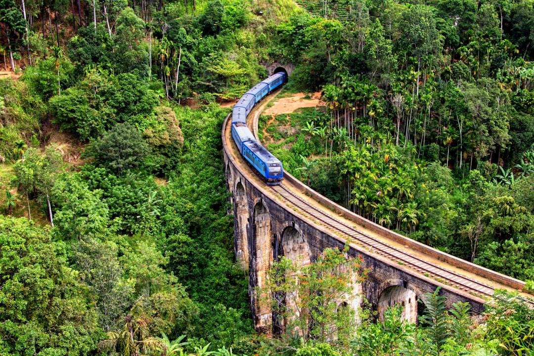 Kikiliyamana: Ein unberührtes Naturparadies in Sri Lanka - Nuwara Eliya | Secret World Trip Planner