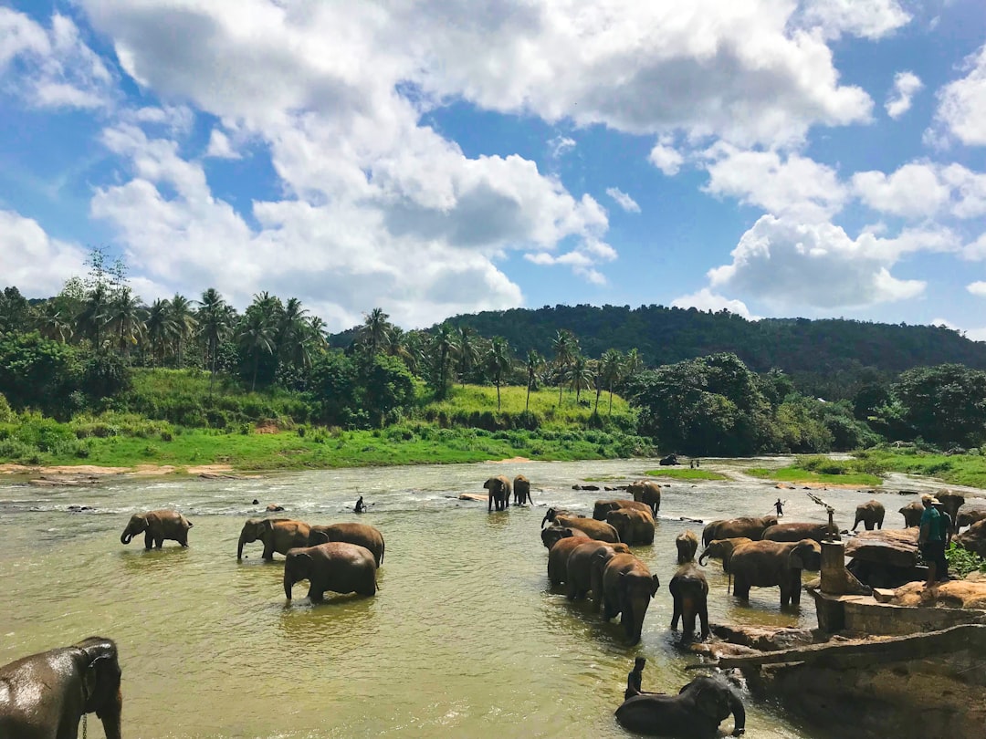 Gommolli Kanda: A Natural Treasure in the Heart of Sri Lanka - Belihuloya | Secret World Trip Planner