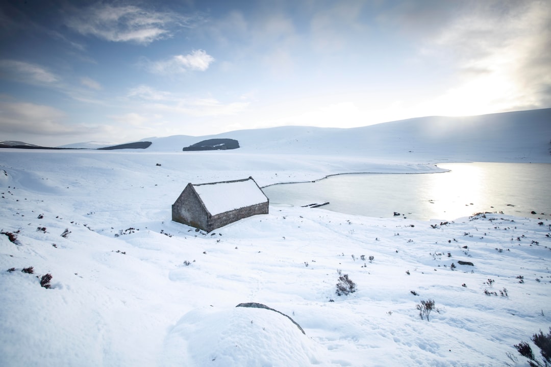 Icehouse: La Banda Australiana que Ha Conquistado el Mundo - Midlothian | Secret World Trip Planner