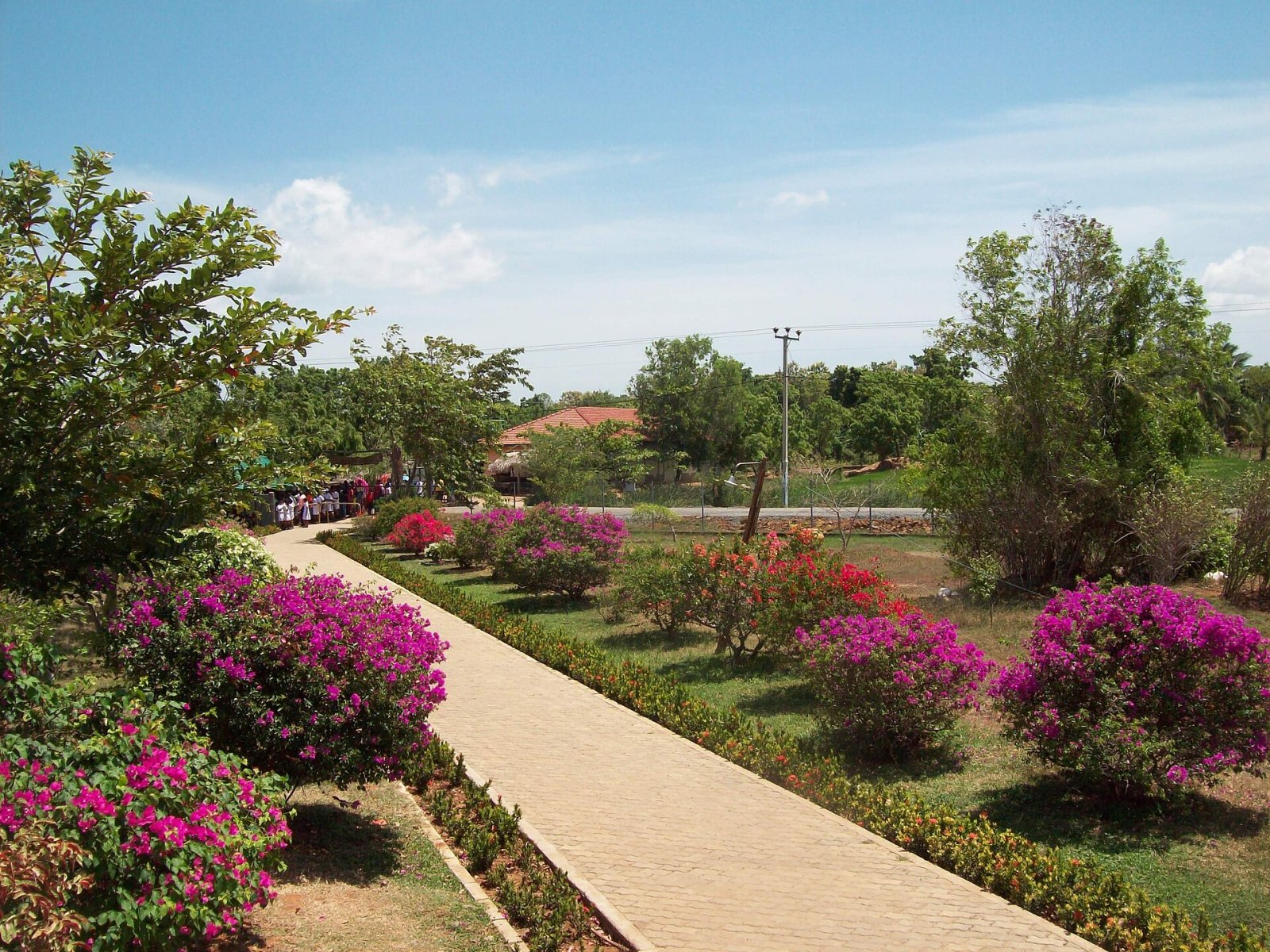Madunagala : un coin de nature préservée au Sri Lanka - Sooriyawewa | Secret World Trip Planner