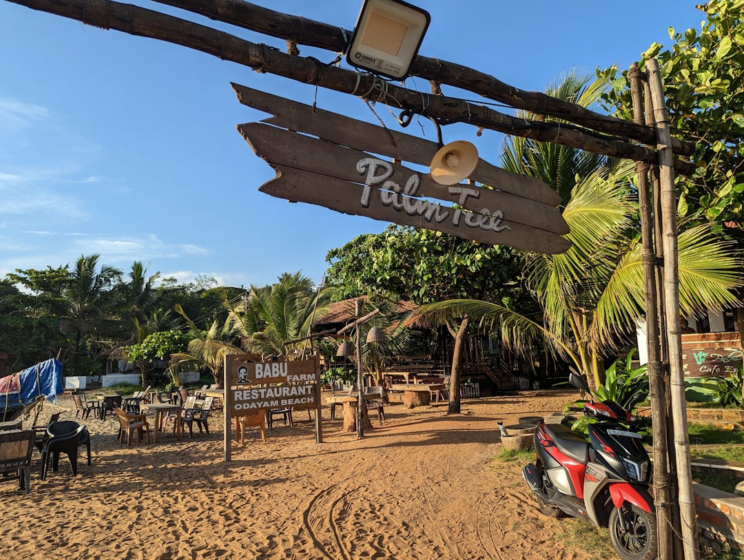 ヴァルカラビーチ:赤い崖とアラビア海の魅力 - Varkala | Secret World Trip Planner