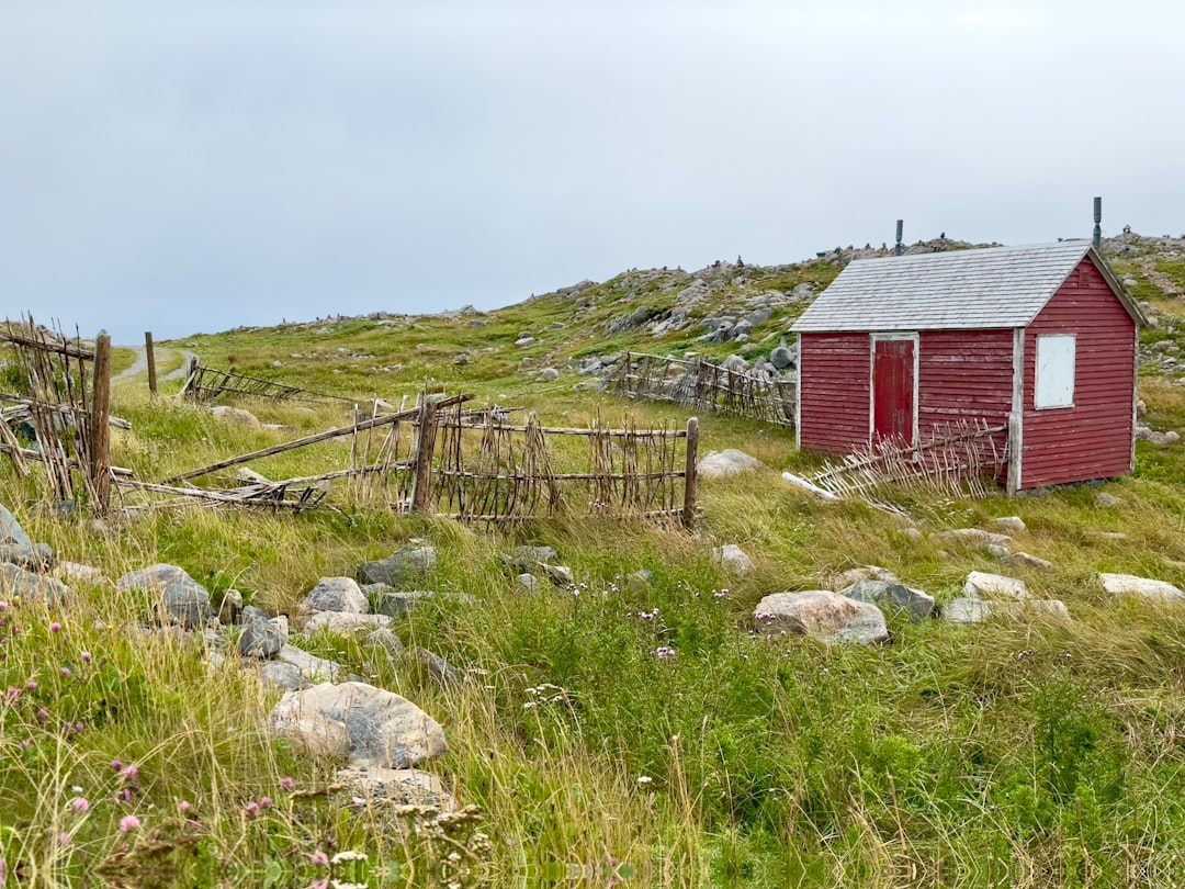 El faro de Cape Bonavista: historia y puffins en Terranova - Bonavista | Secret World Trip Planner