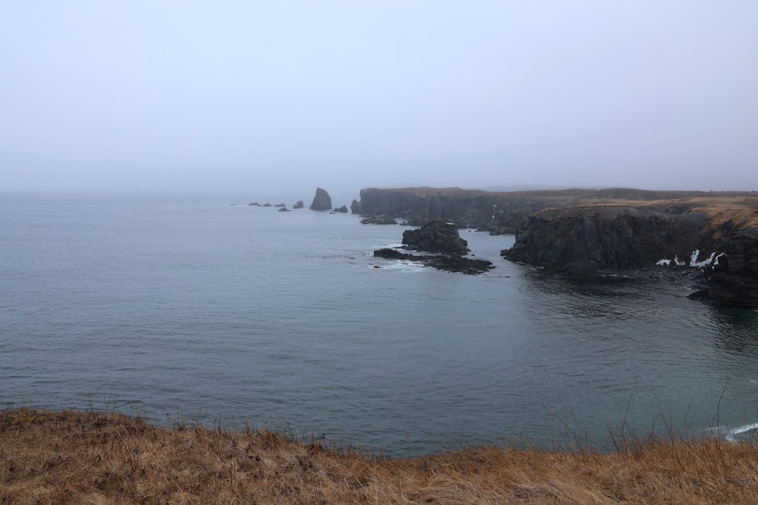 O farol de Cape Bonavista: história e puffins em Terranova - Bonavista | Secret World Trip Planner