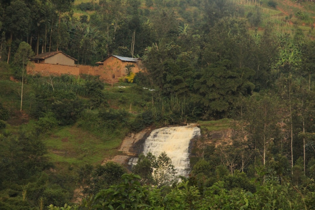 Wli Waterfalls: West Africa's Tallest Wonder - Afegame | Secret World Trip Planner