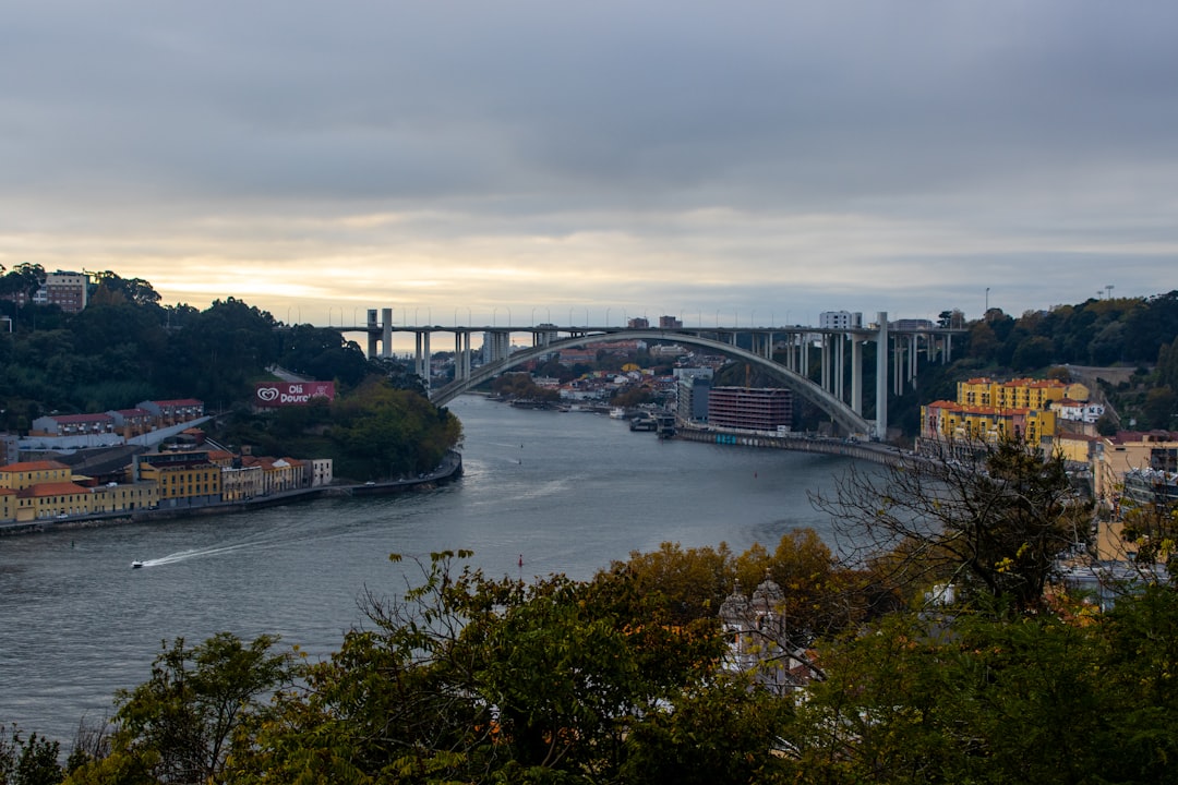 Jardins do Palácio de Cristal: Porto dall'alto - R. de D Manuel II | Secret World Trip Planner