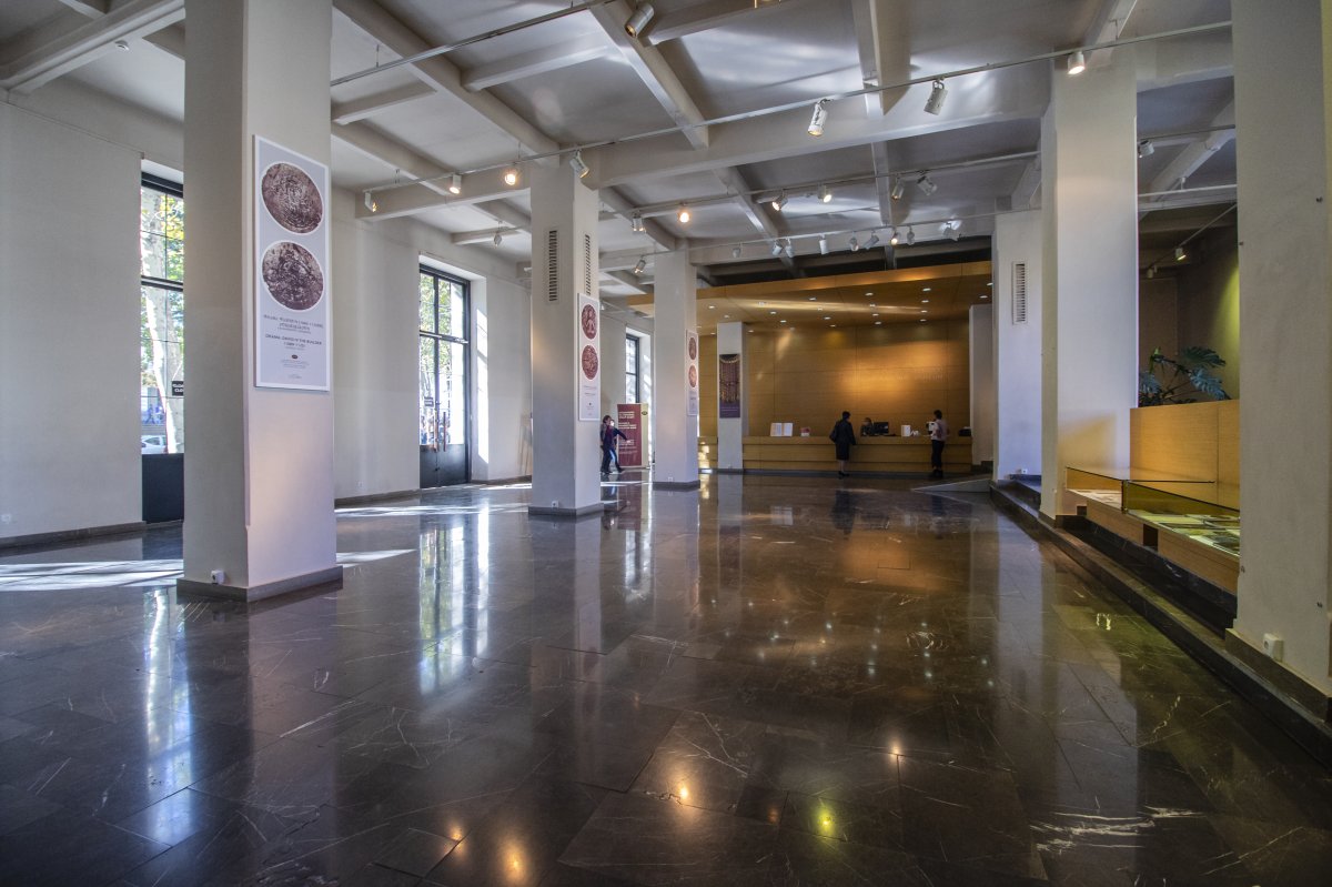Georgian National Museum: Colchian Treasures in Tbilisi — 3 Shota Rustaveli Ave