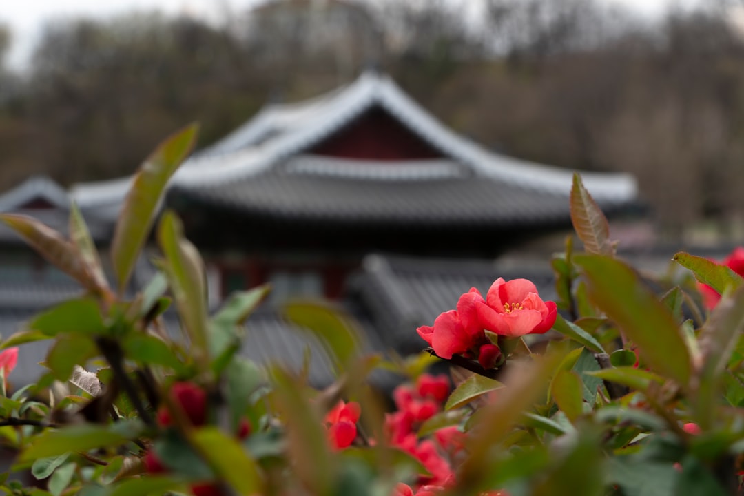 Gyeonghuigung: el palacio silencioso de Seúl - Jongno District | Secret World Trip Planner