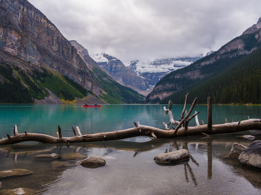 Lago Peyto: o lago turquesa das Montanhas Rochosas - Lake Louise | Secret World Trip Planner