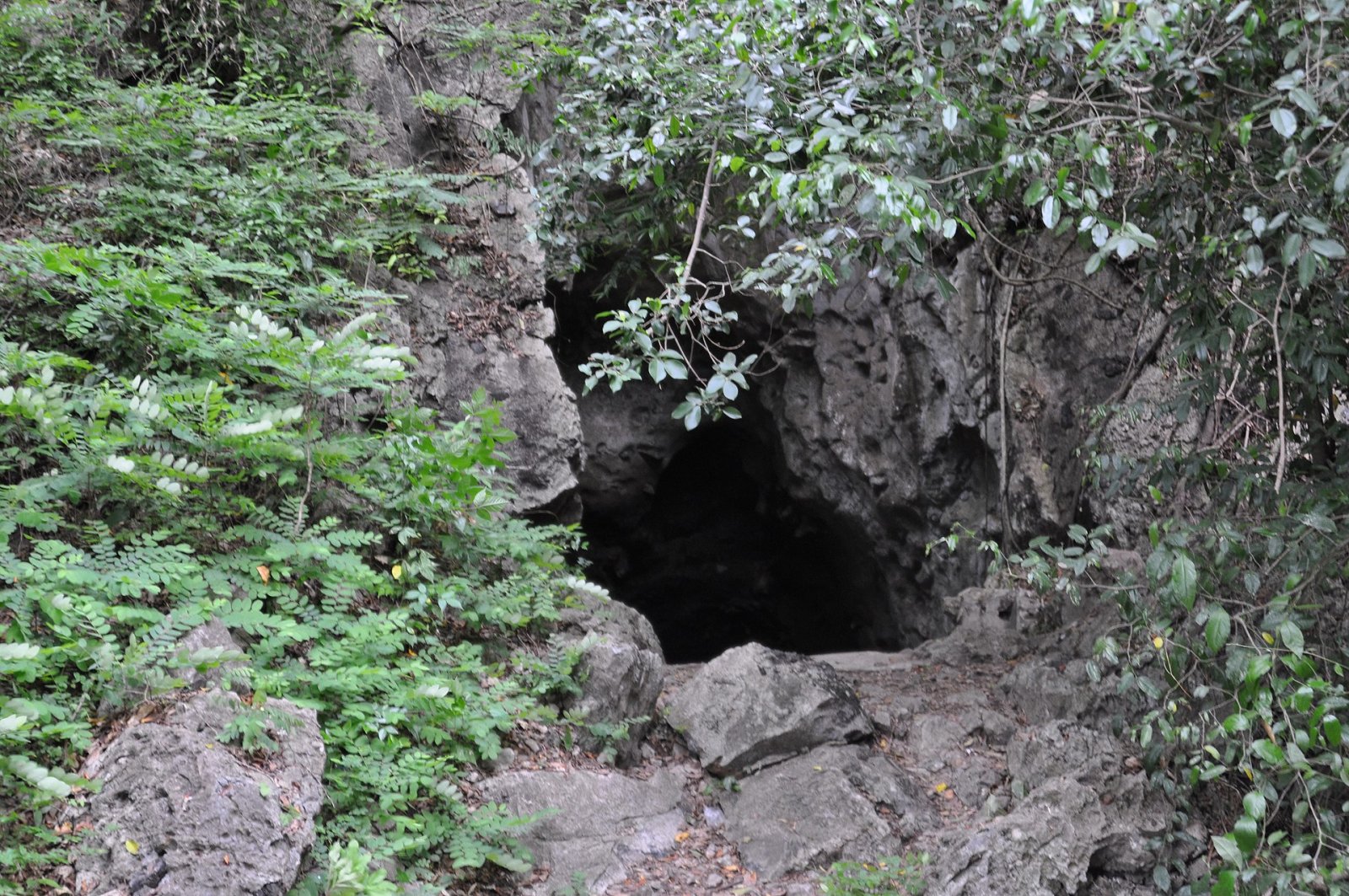 Killing Cave : un voyage entre mémoire et nature en Cambodge — Krong Battambang