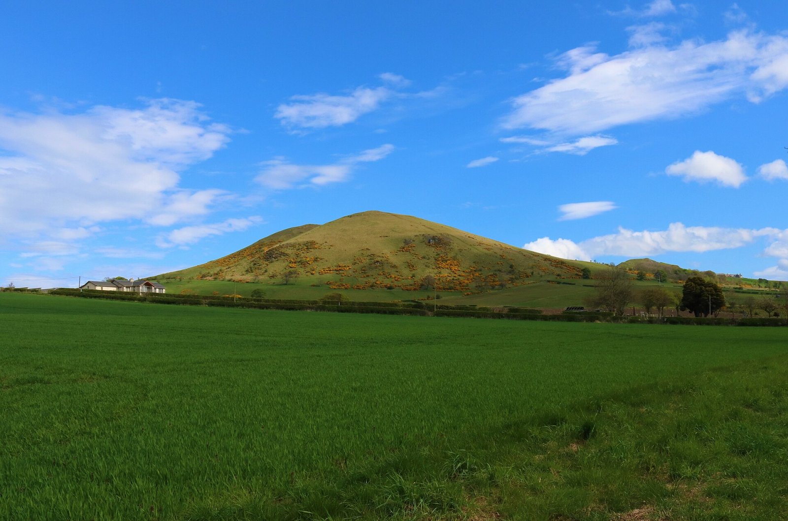 Découvrir Largo Law : Un Paradis Naturel en Écosse - 63MF+HM Leven | Secret World Trip Planner