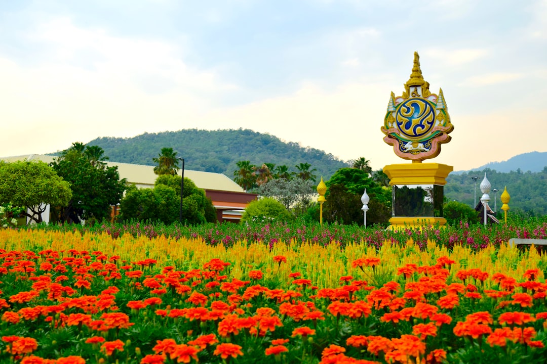 探索泰国的沉睡女神山:Doi Nang Non - Mae Sai District | Secret World Trip Planner