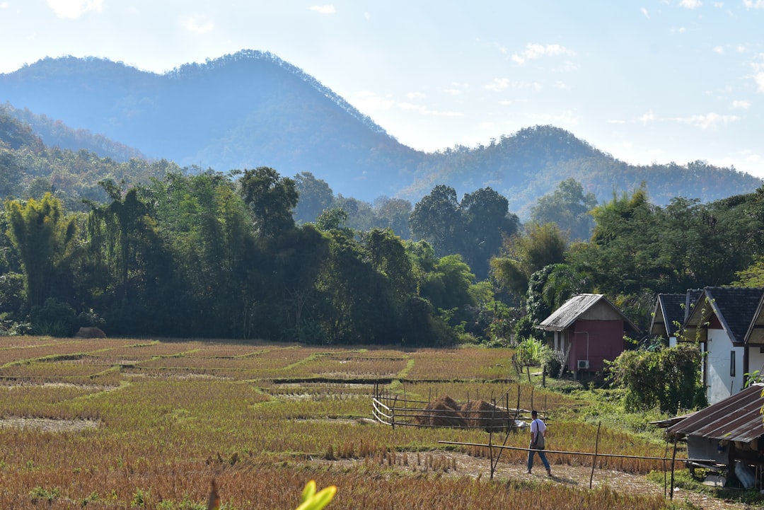 Découvrez Doi Tung : le joyau caché de la Thaïlande - Mae Sai District | Secret World Trip Planner