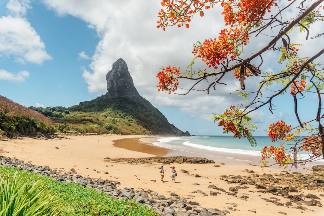 费尔南多·迪诺罗尼亚:巴西的火山群岛 - Pernambuco | Secret World Trip Planner
