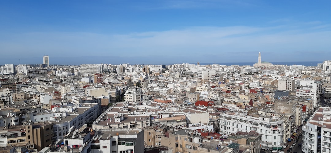 Valle di Casablanca: vini cileni tra oceano e vigne - Casablanca | Secret World Trip Planner