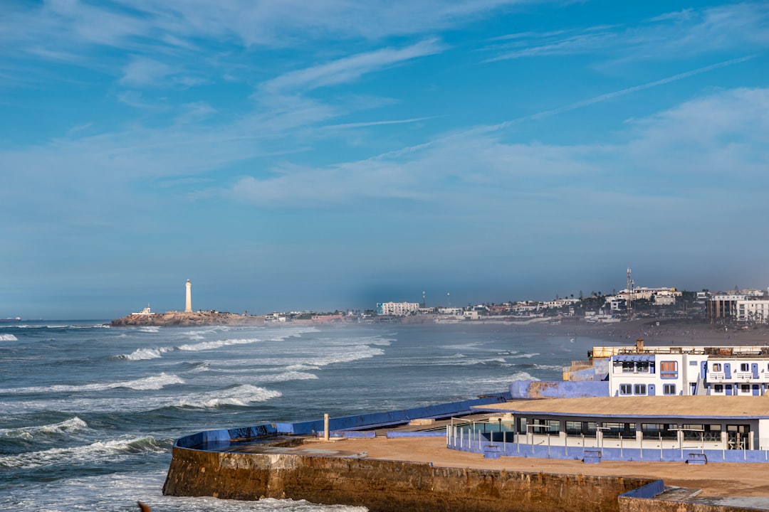 Долина Касабланки: чилийские вина между океаном и виноградниками - Casablanca | Secret World Trip Planner