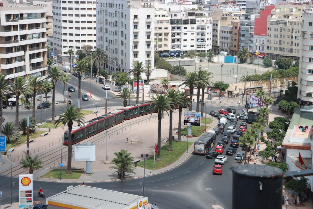 Долина Касабланки: чилийские вина между океаном и виноградниками - Casablanca | Secret World Trip Planner