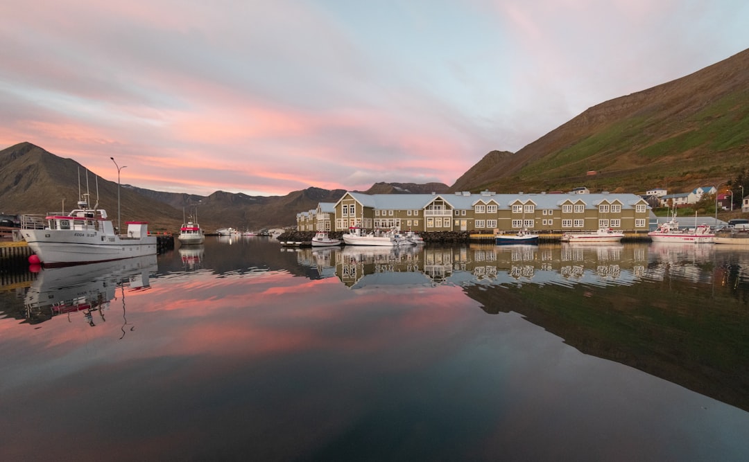 Murals und Heringe in Siglufjörður: Kunst am Fjord - Snorragata 10 | Secret World Trip Planner