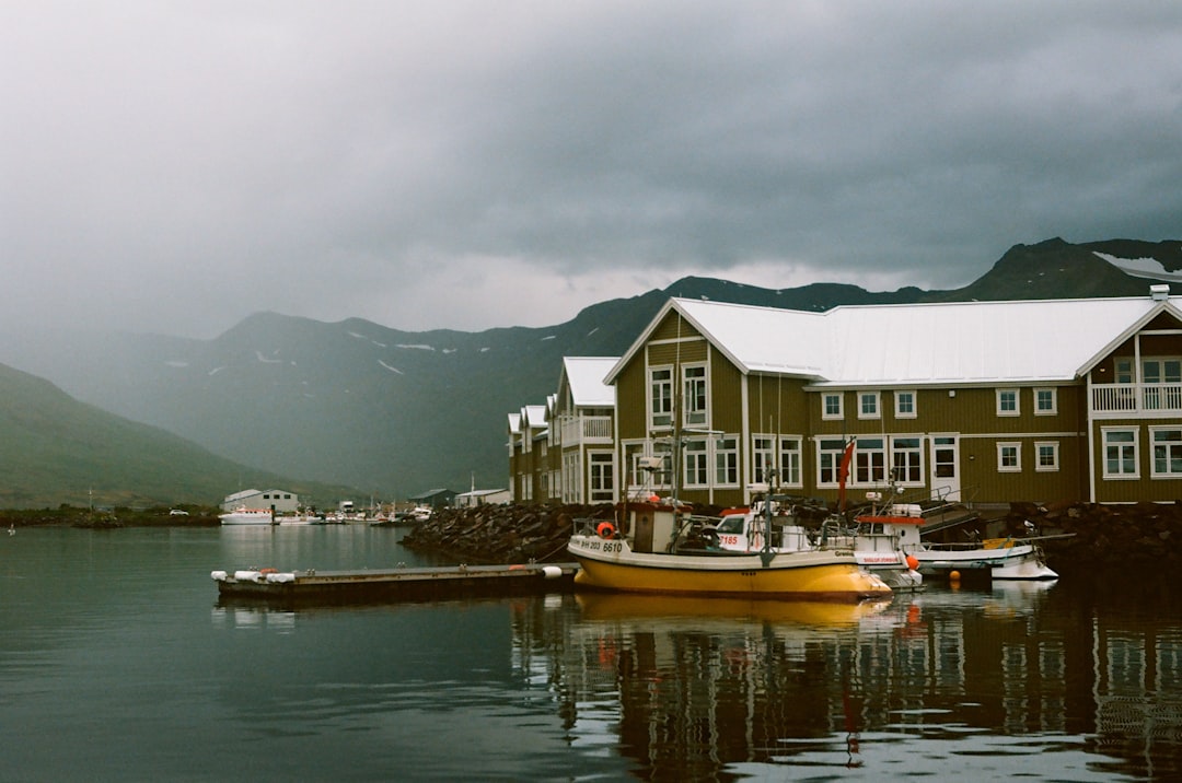 Murales et harengs à Siglufjörður : art au fiord - Snorragata 10 | Secret World Trip Planner
