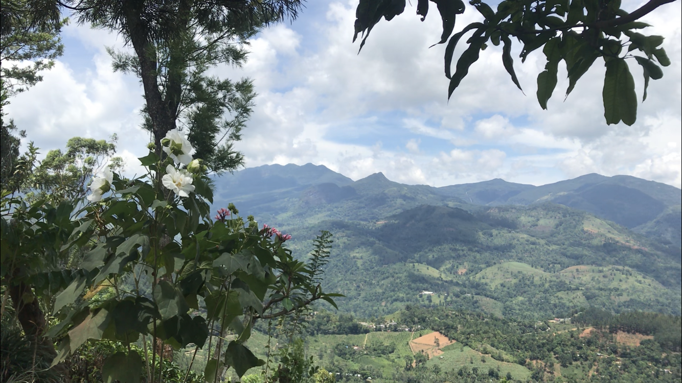 Découvrez Knuckles : le paradis naturel du Sri Lanka - Kandy | Secret World Trip Planner