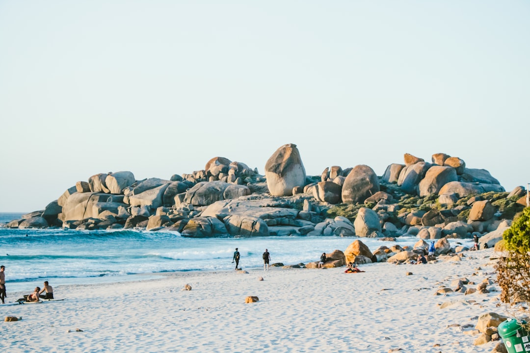 Boulders Beach: i pinguini africani di Cape Town - Cape Town | Secret World Trip Planner