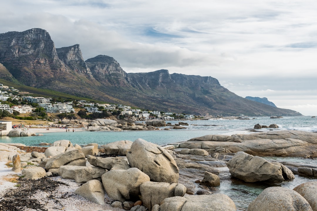 볼더스 비치: 케이프타운의 아프리카 펭귄 - Cape Town | Secret World Trip Planner