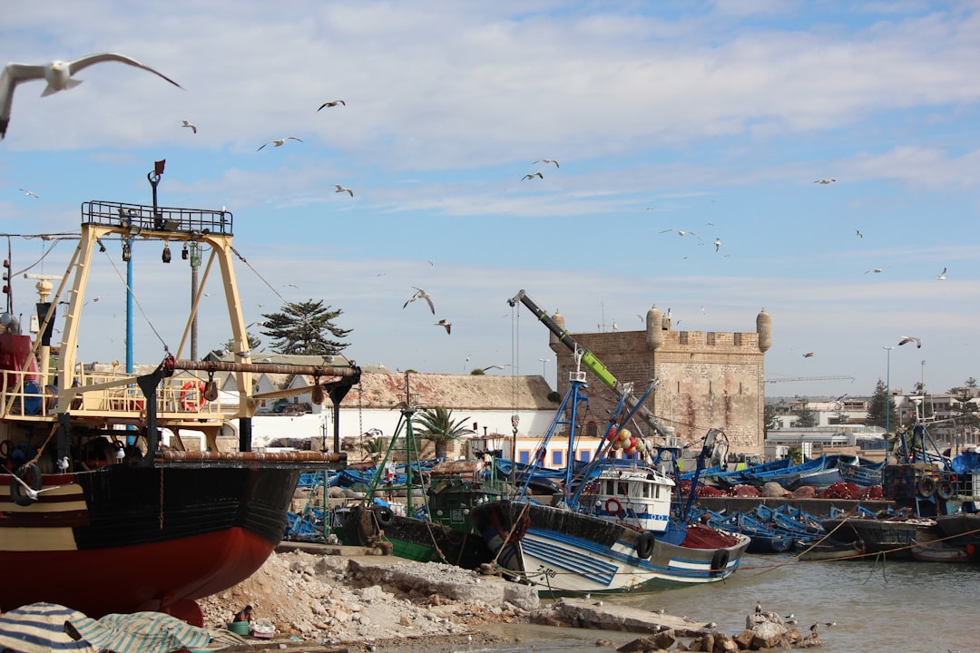 Mercados de Essaouira: madera, viento y especias azules - Medina of Essaouira | Secret World Trip Planner