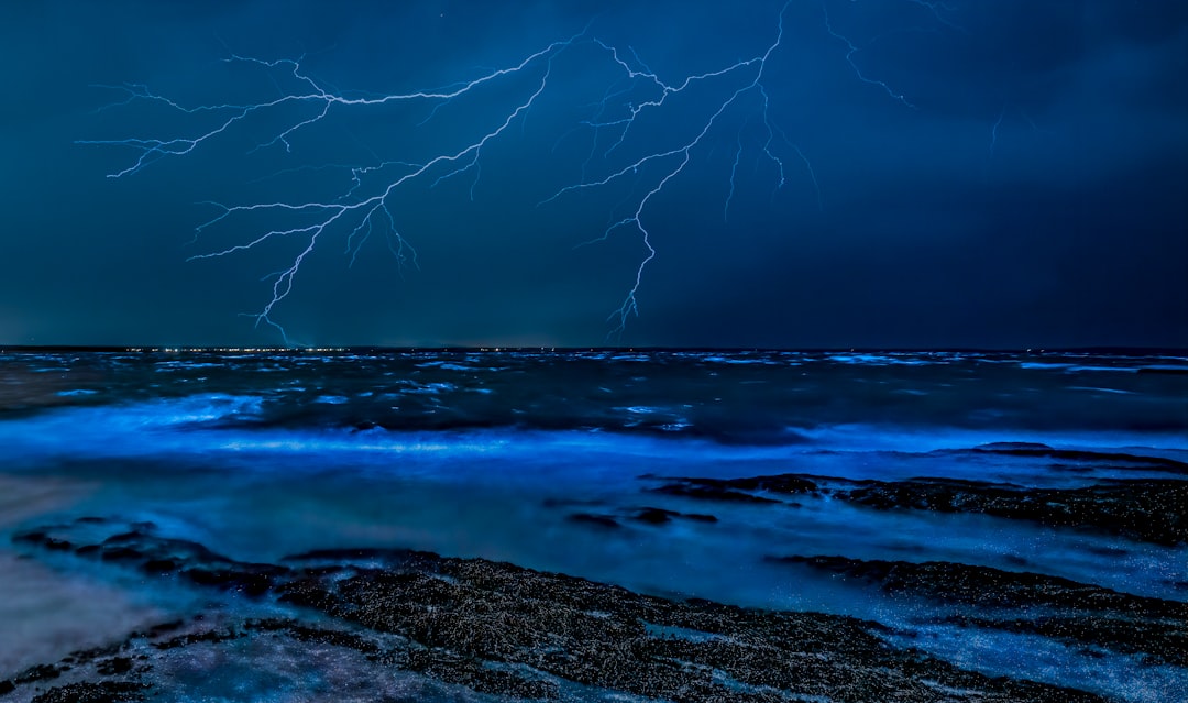 Bahía Bioluminiscente de Vieques: luz en el agua - Vieques 00765 | Secret World Trip Planner