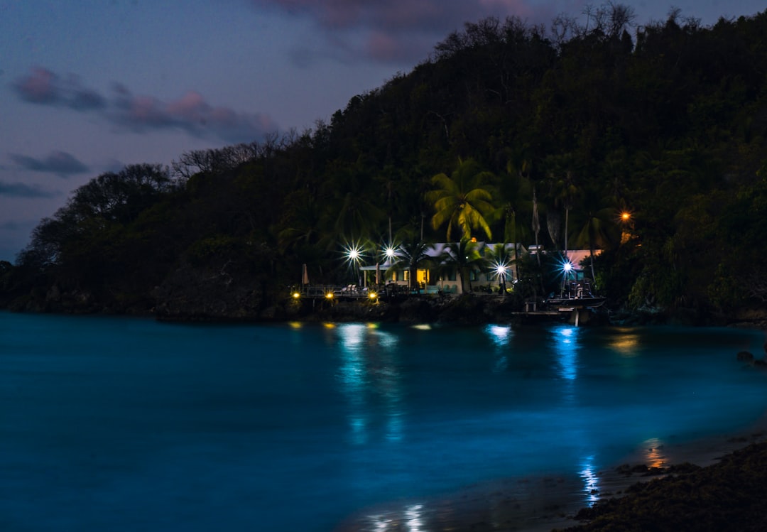Baía Bioluminescente de Vieques: luz na água - Vieques 00765 | Secret World Trip Planner
