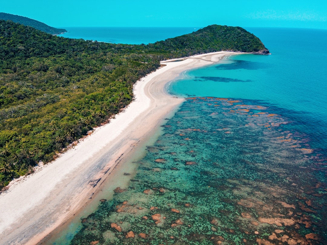 Foresta di Daintree: panorami tra foresta e barriera corallina - 2333 Cape Tribulation Rd | Secret World Trip Planner