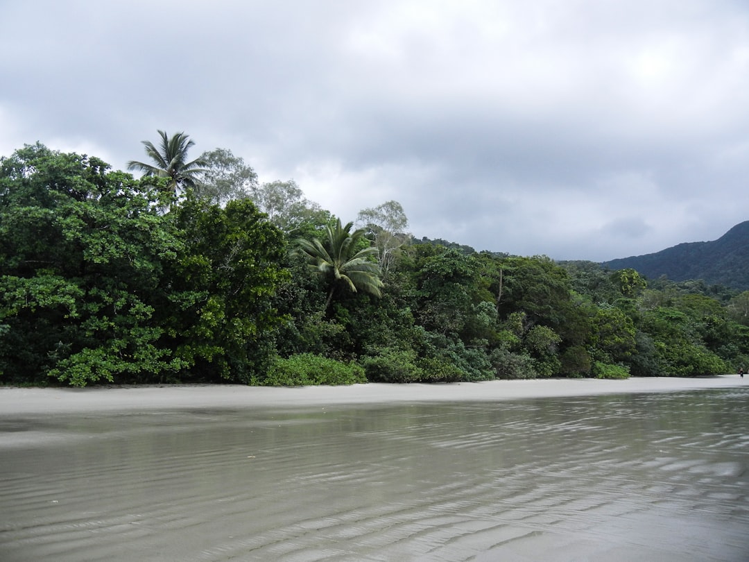 Floresta de Daintree: paisagens entre floresta e recife - 2333 Cape Tribulation Rd | Secret World Trip Planner