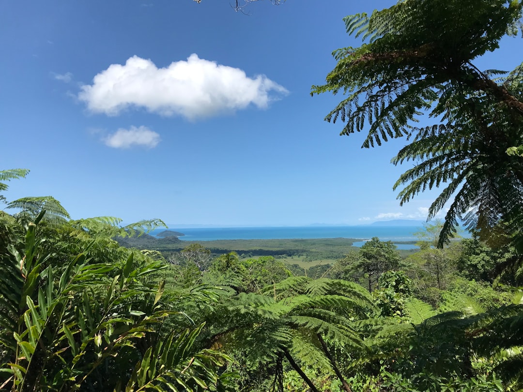 Дейнтри: панорамы леса и кораллового рифа - 2333 Cape Tribulation Rd | Secret World Trip Planner