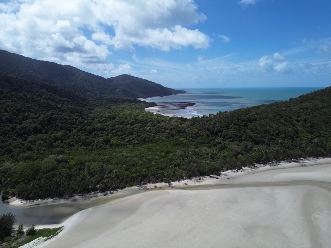 Дейнтри: панорамы леса и кораллового рифа - 2333 Cape Tribulation Rd | Secret World Trip Planner