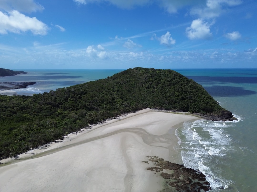 丹特里森林:森林与珊瑚礁的壮丽景观 - 2333 Cape Tribulation Rd | Secret World Trip Planner