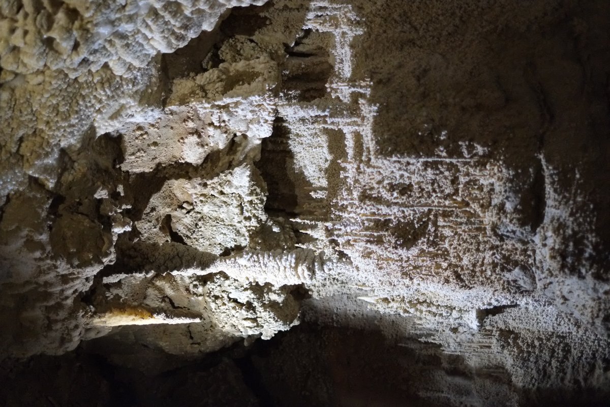 Ruakuri: las cuevas de conchas luminosas en Waitomo - Ruakuri Mağarası | Secret World Trip Planner