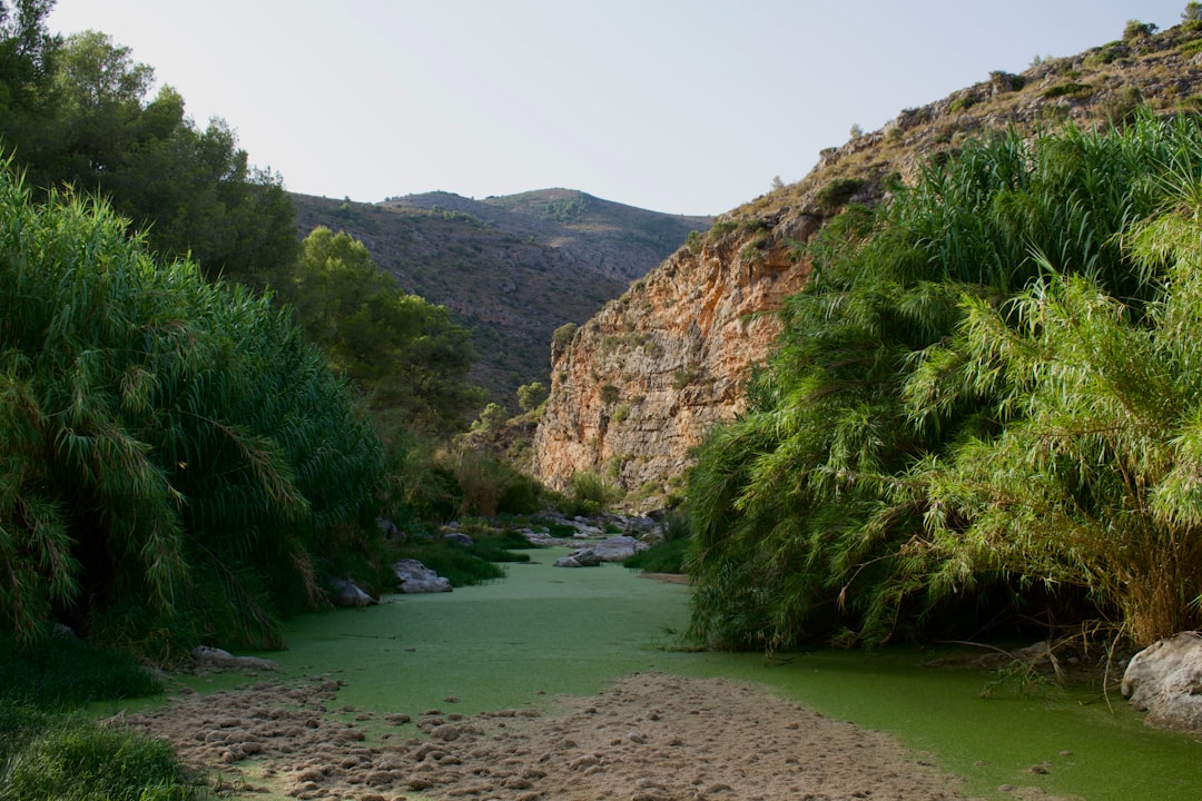 Hierve el Agua:瓦哈卡的石化瀑布 - 70477 Roaguía | Secret World Trip Planner