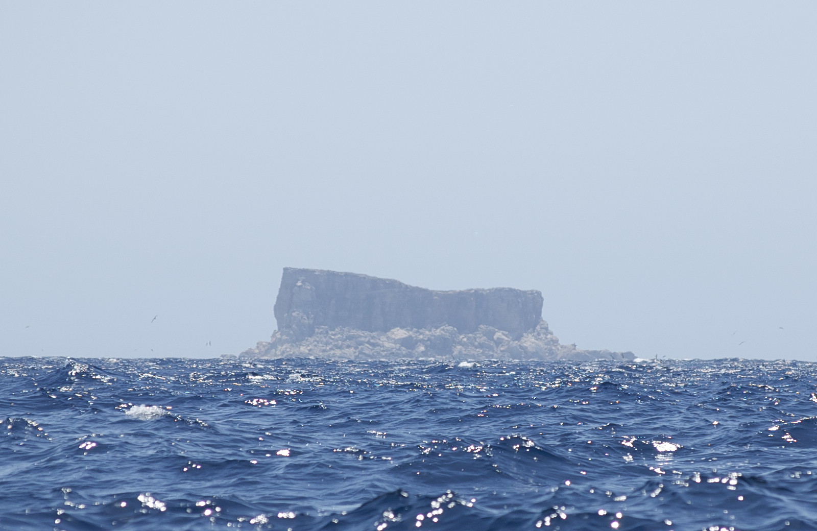 Descubra Filfla: a joia natural do sul de Malta - Siġġiewi | Secret World Trip Planner